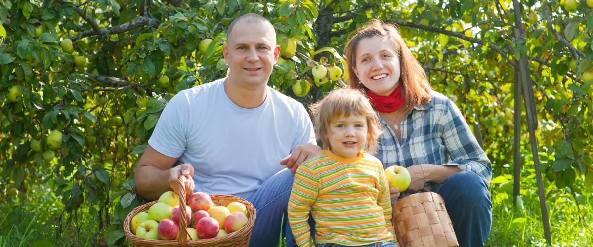 Family sititng in an apple orchard