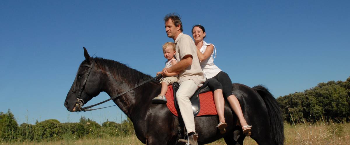 Family riding on a horse