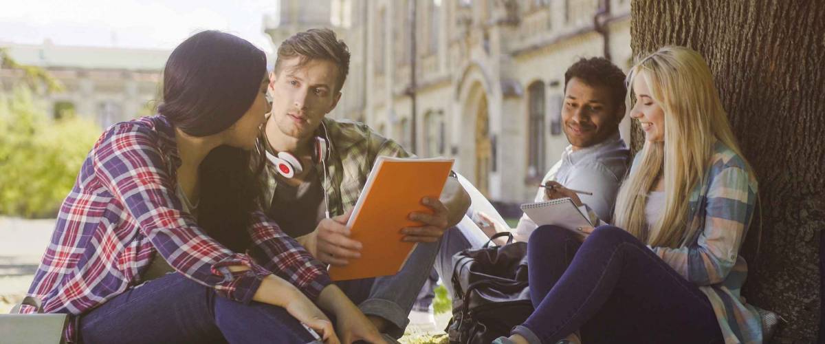 College students having discussion under tree on campus, preparing for exams