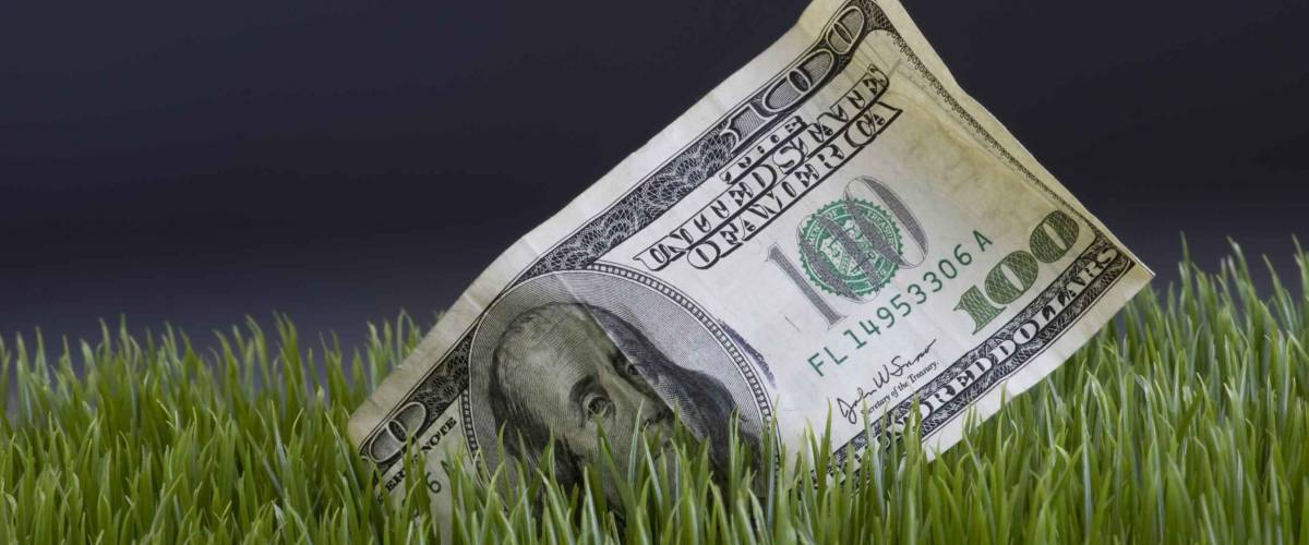 Cash in the Grass.