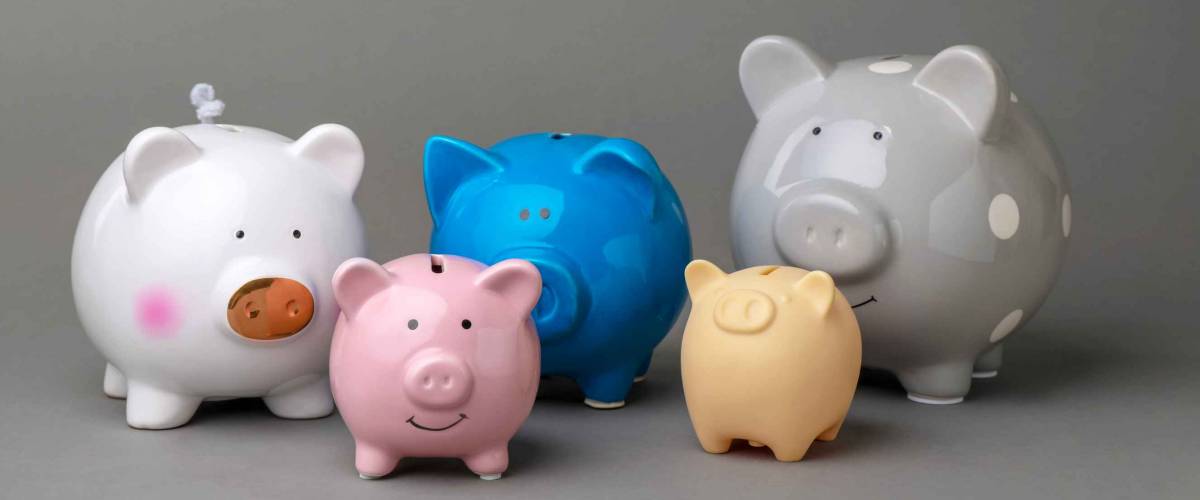 Different cute piggy banks on gray background