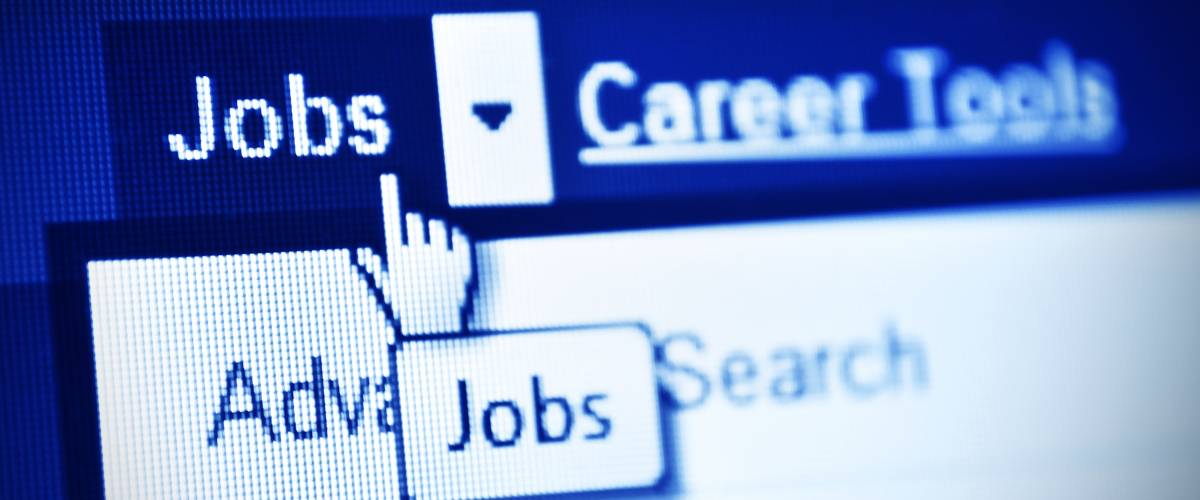 Job search