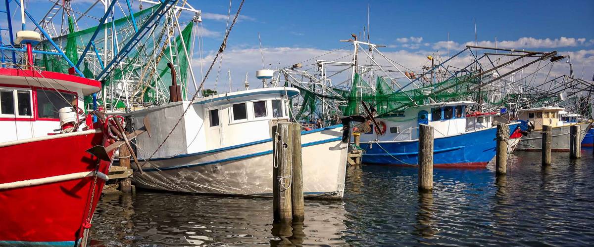 Colorful shrimp fishing boats docked in harbor at Biloxi, Mississippi