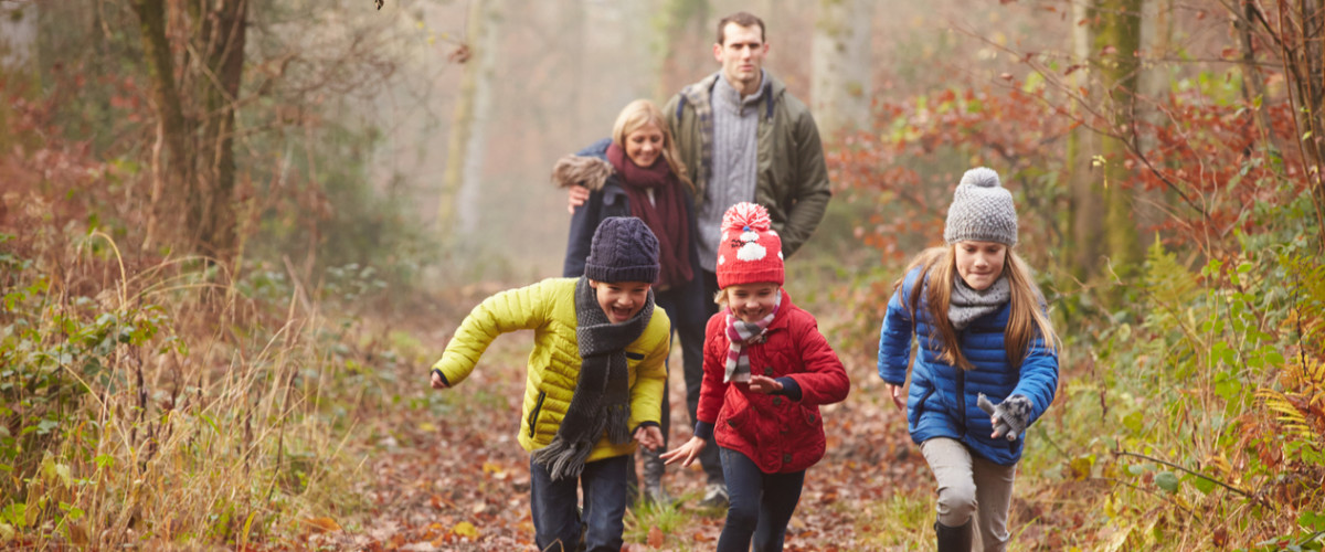 Young family walking through the woods on a beautiful autumn day