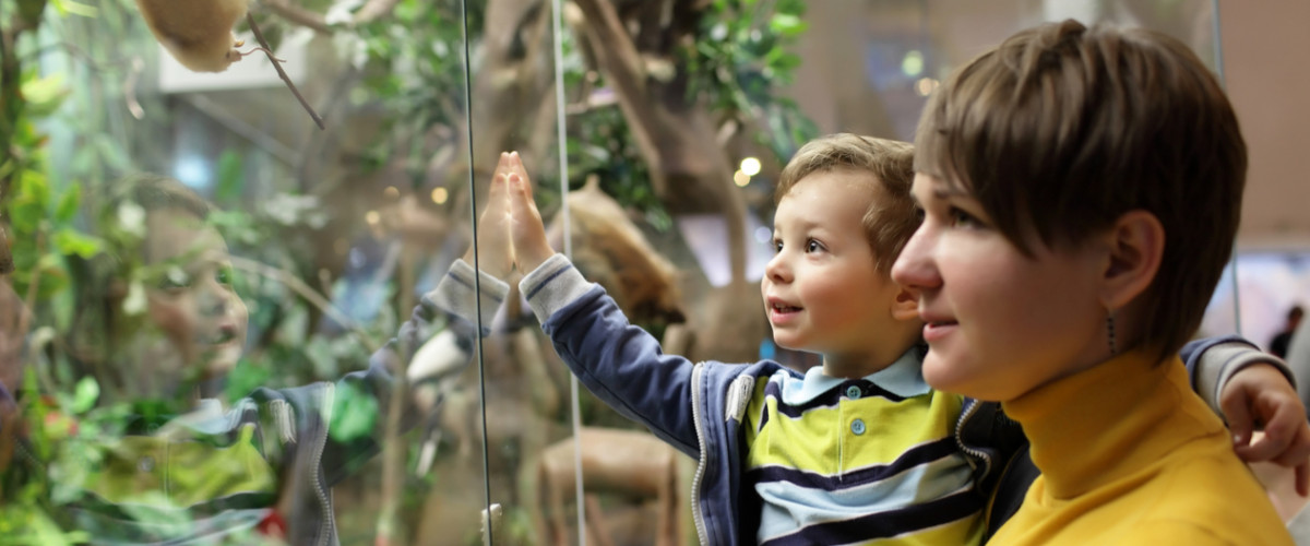 Mother and son looking at an exhibit in a museum