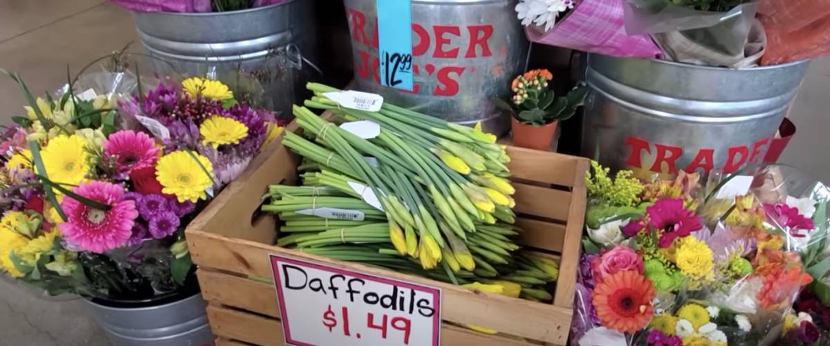 Box of daffodils