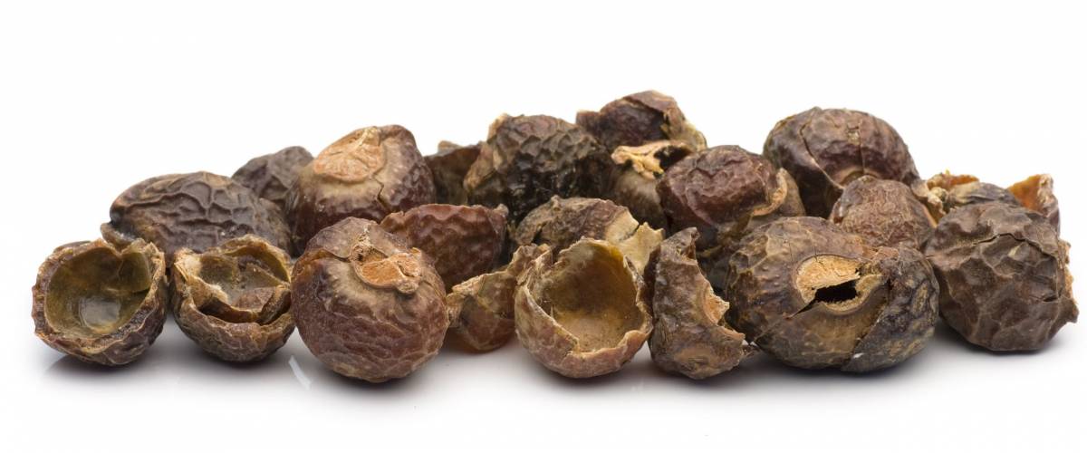 Soap nuts on white