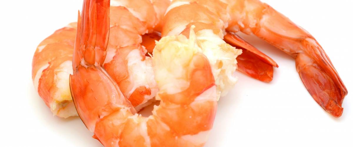 Steamed tiger shrimp isolated on white background