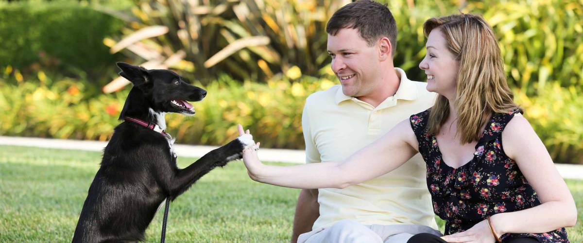 Happy young couple and their dog
