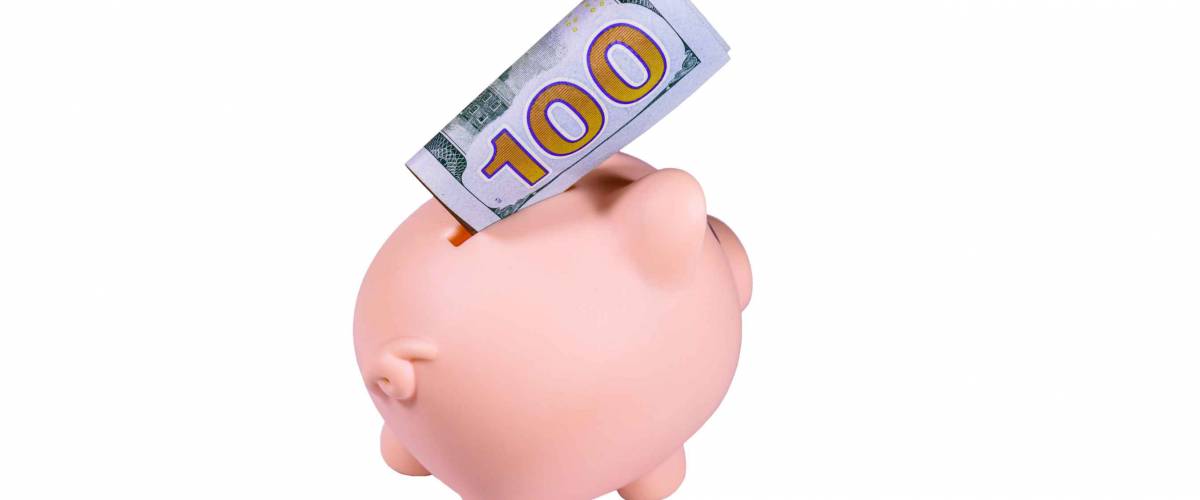 Pink piggy bank with one hundred dollar bill isolated on white background