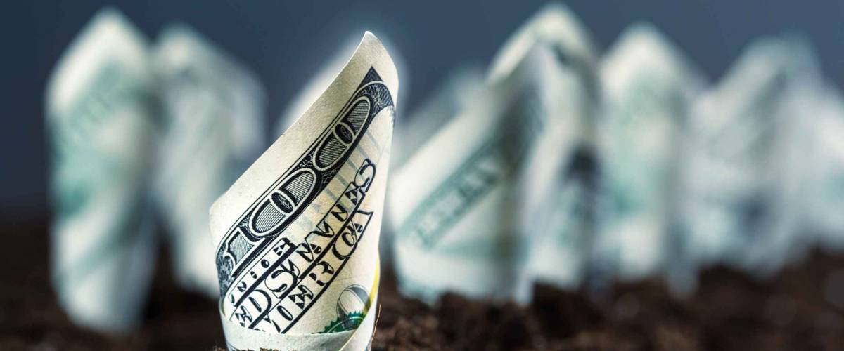 American dollars grow from the ground