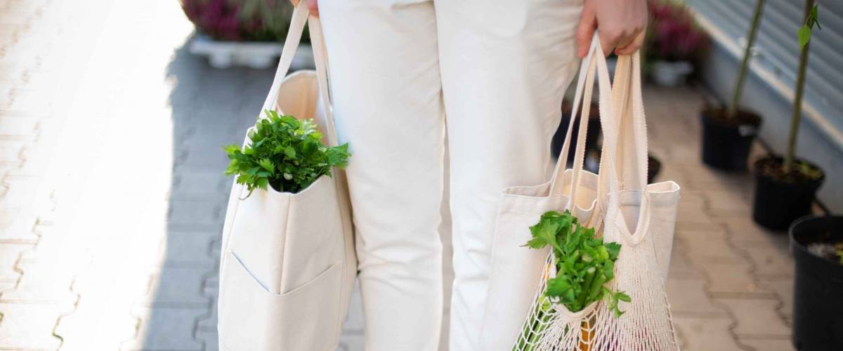 Girl is holding mesh shopping bag and cotton shopper with vegetables without plastic bags at farmers market. Zero waste, plastic free concept. Sustainable lifestyle. Banner