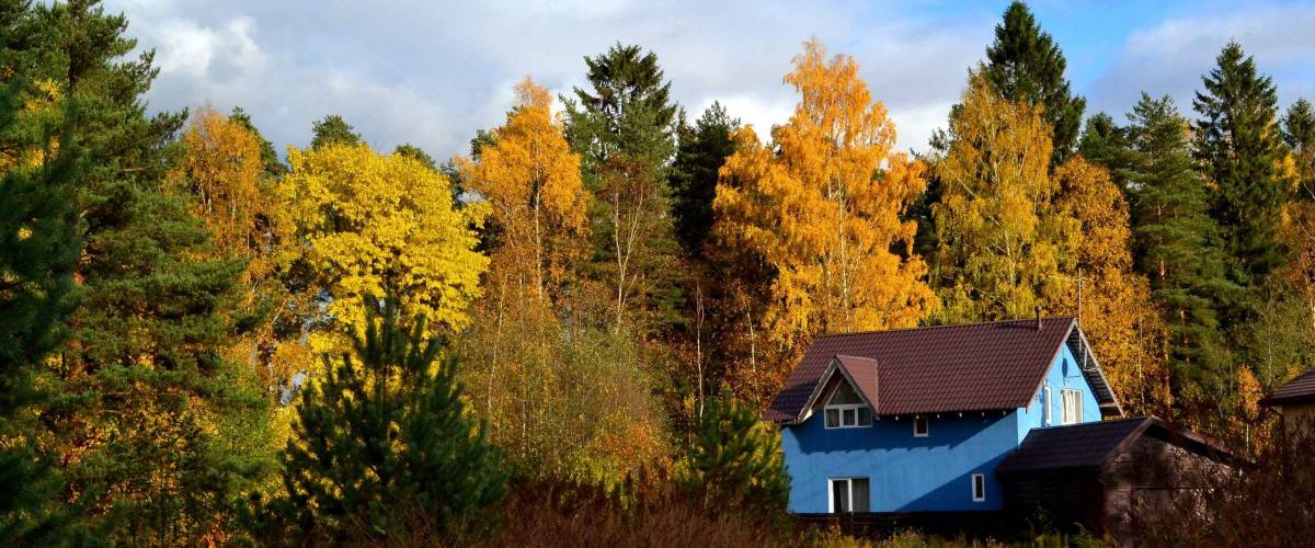 blue house against trees in autumn