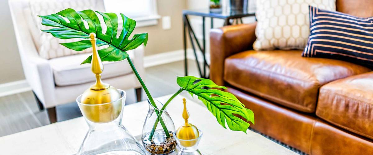 close up of display in home: plants, empty jars, leather couch in the background