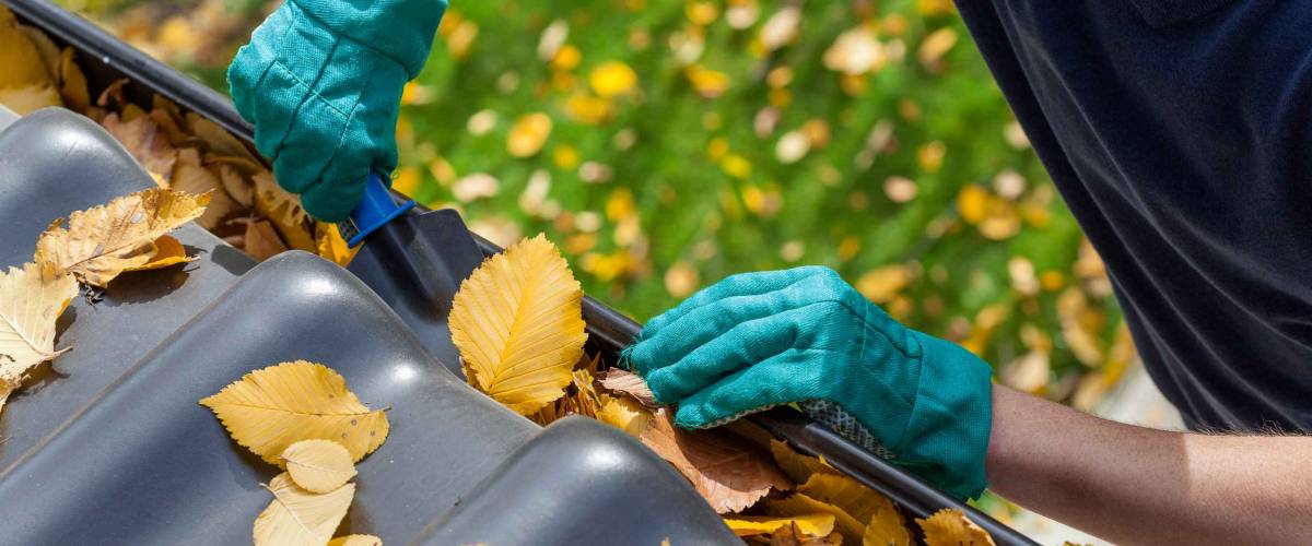 Man cleaning the gutter from autumn leaves