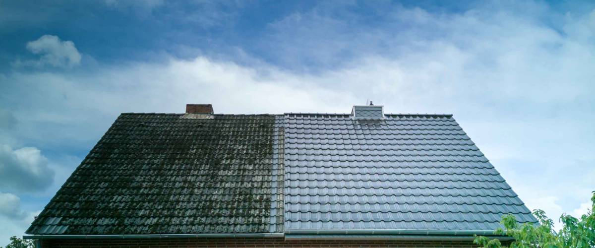 A half cleaned house roof shows the before and after effect of a roof cleaning.