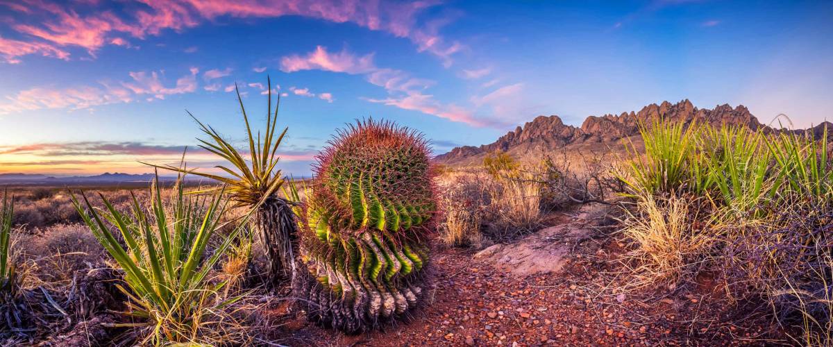 Las Cruces New Mexico