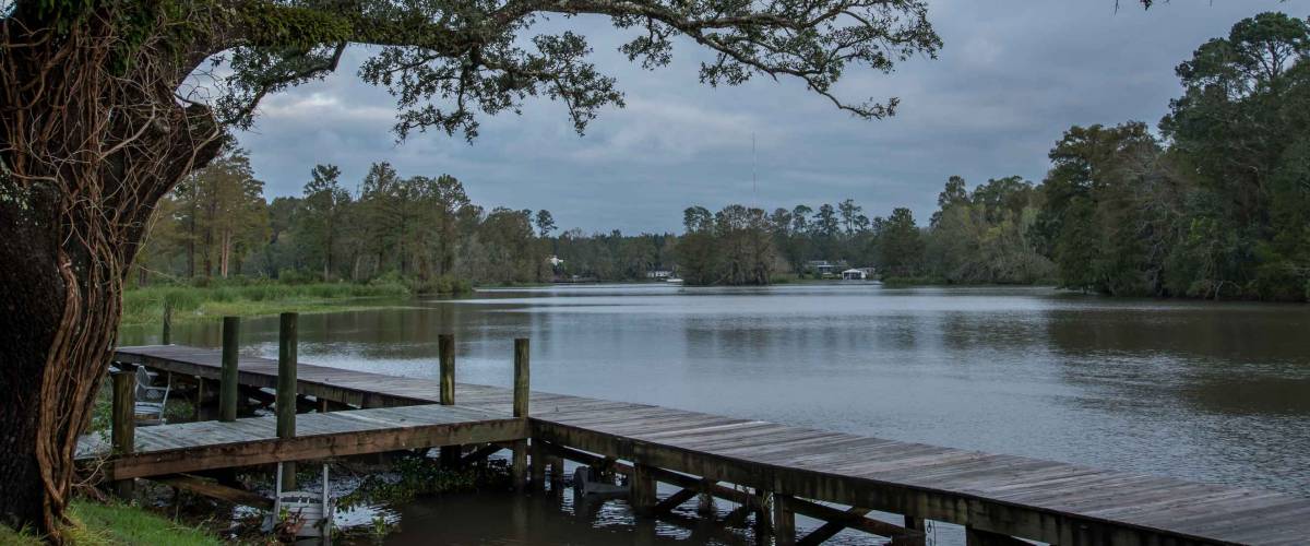 Calm After Hurricane Michael