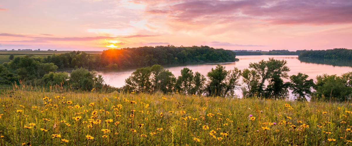 Minnesota