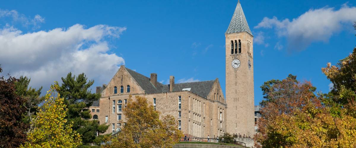 New York - Cornell University
