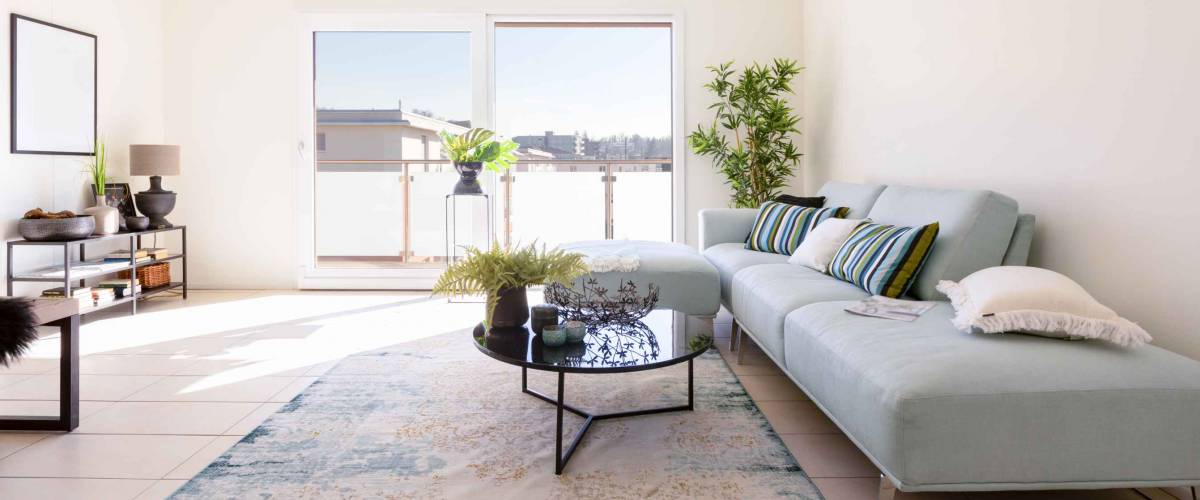 Modern living room with designer sofa and coffee table. Window with view. Nobody insid