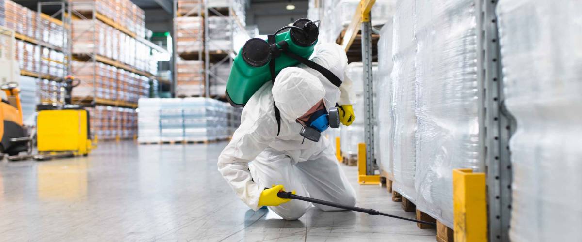 Pest Control Worker Hand Holding Sprayer For Spraying Pesticides in production or manufacturing factory