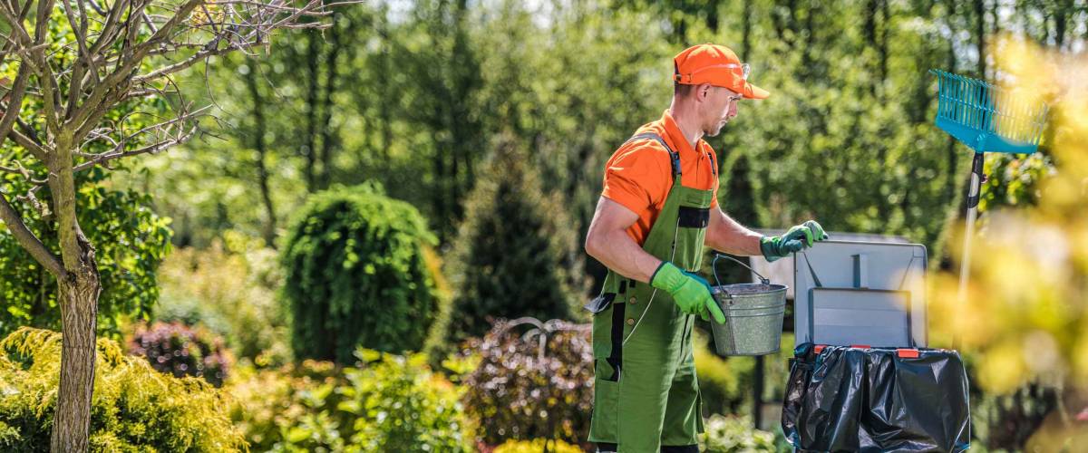 Male Groundskeeper Maintaining And Cleaning Outdoors Area Of Residential Garden After Raking Pruning And Trimming Plants.