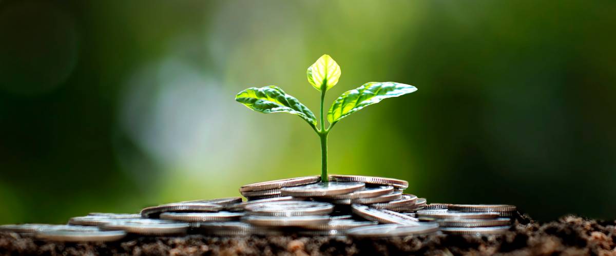 Savings growth