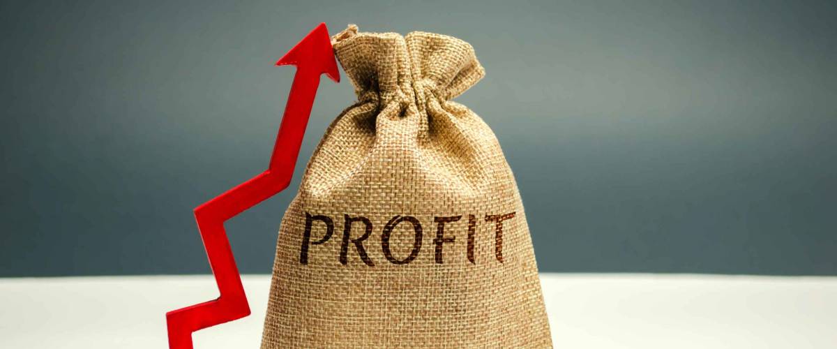 Money bag with the word Profit and an up arrow. Concept of business success, financial growth and wealth. Increase profits and investment fund. Saving money and accumulation.