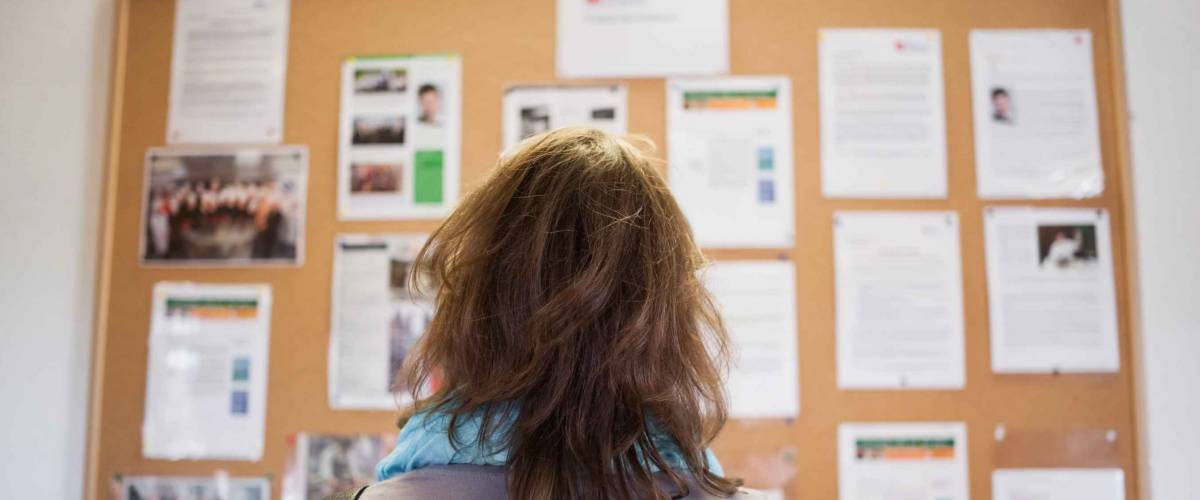 Student studying notice board in school