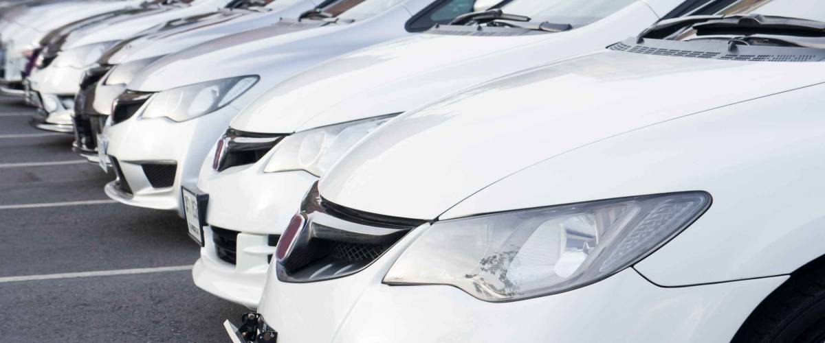 line up of white cars in parking spaces