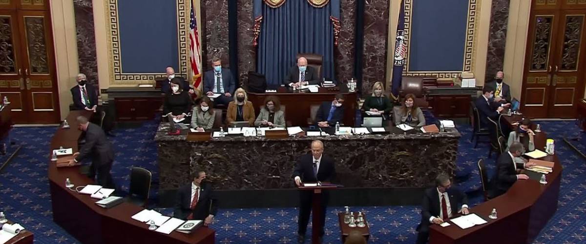 David Schoen defends Trump in Senate impeachment trial