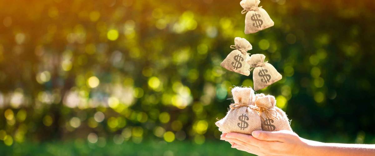 Women hands hold a money bags and dropping on the top in the public park for loans to planned investment in the future concept.