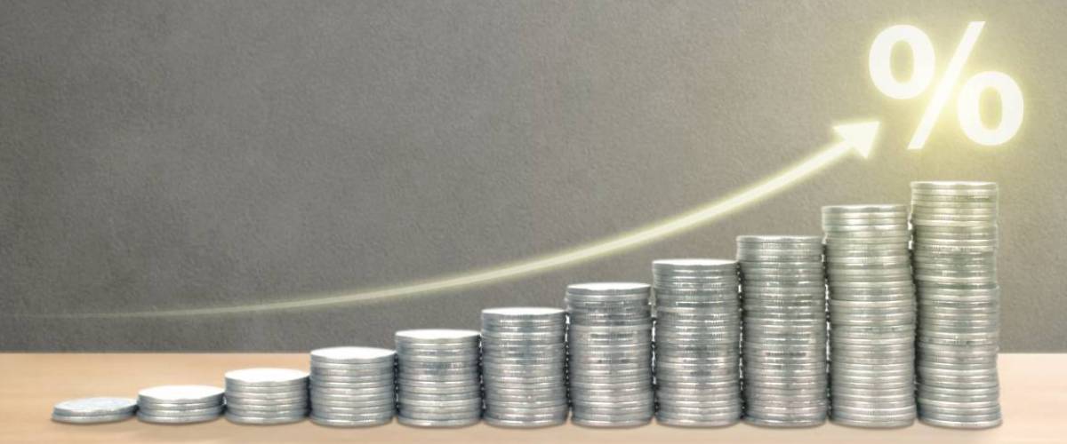 Increase Profit Rate up, The best excellent growing business experience concept.