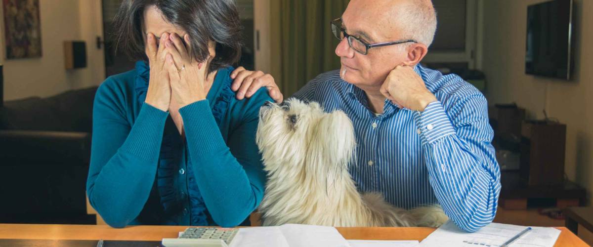 Worried couple with dog sitting in living room, looking at bills, upset