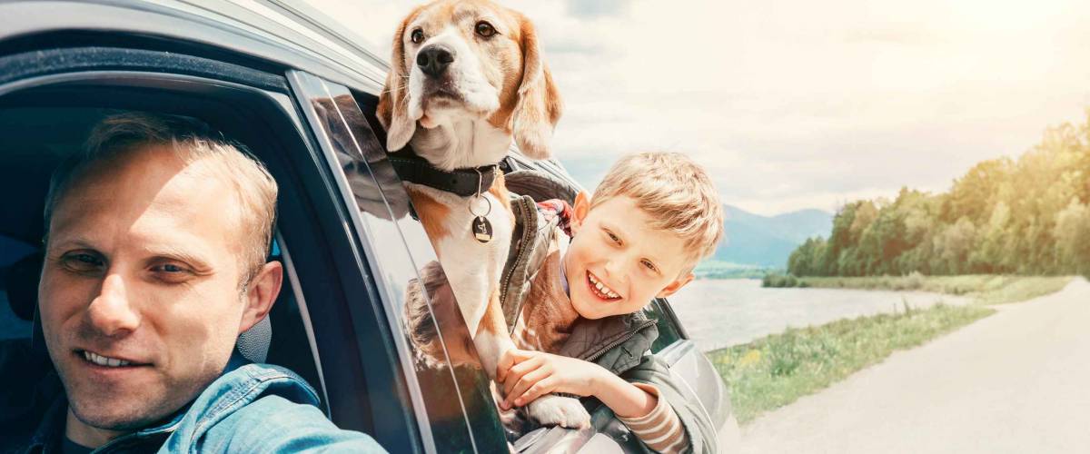 Father with son and dog look from the car window