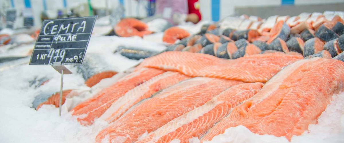 Fresh atlantic salmon lie on table with ice in supermarket