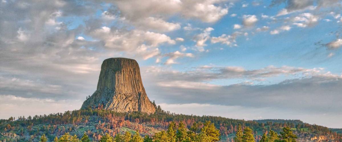 Devil's Tower National Monument in Wyoming Under the Early Morning Cloudy Sky with the forest in the foreground