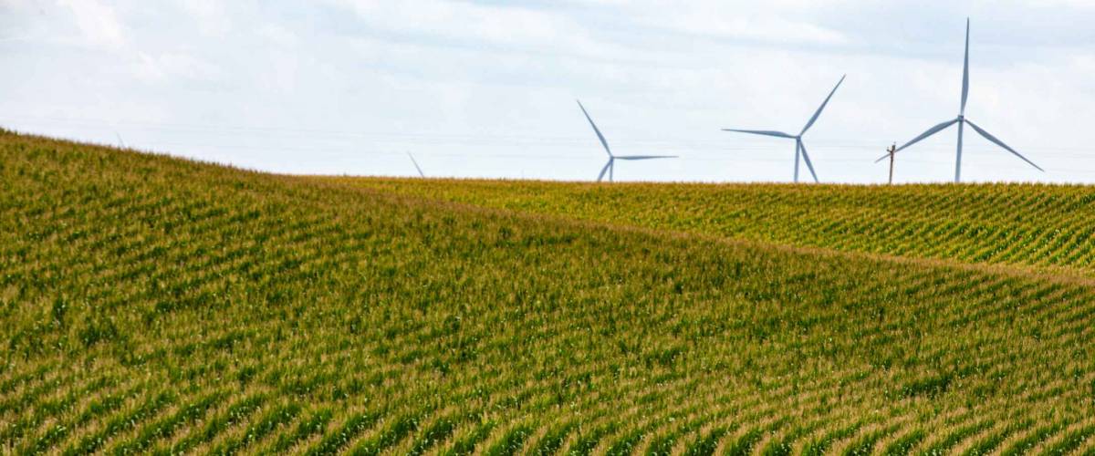 Nebraska corn fields with wind turbines