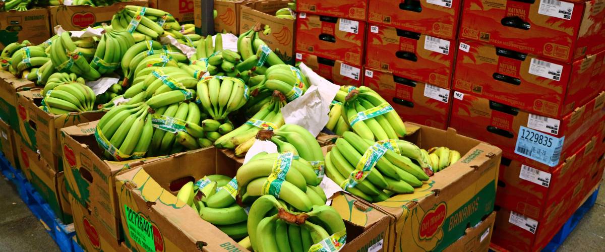 Costco bananas