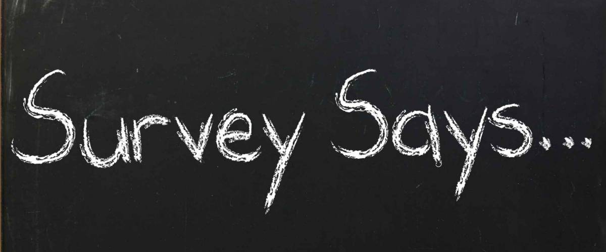 Survey says written in white chalk on a black chalkboard isolated on white