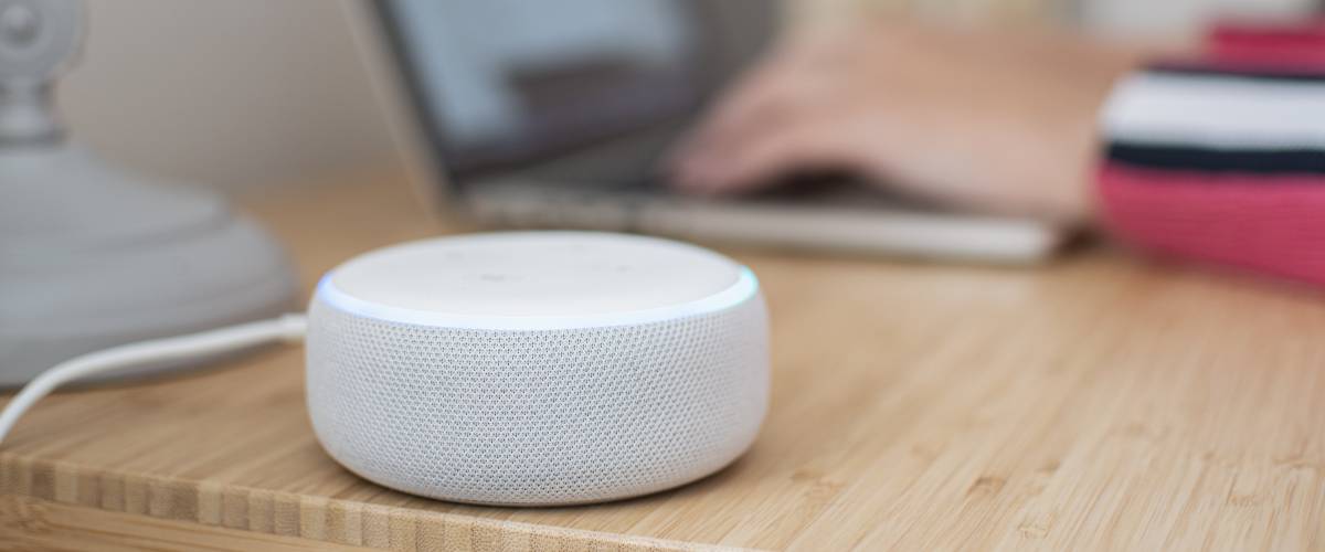Amazon Alexa sitting on a desk with someone working on a laptop in the background.