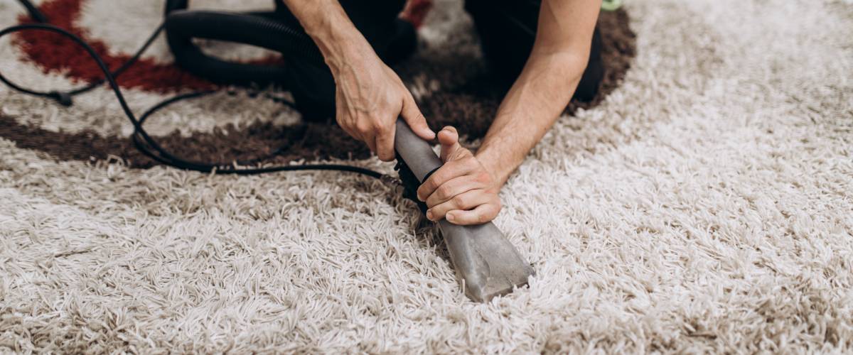 Process of deep carpet cleaning, dirt removing.