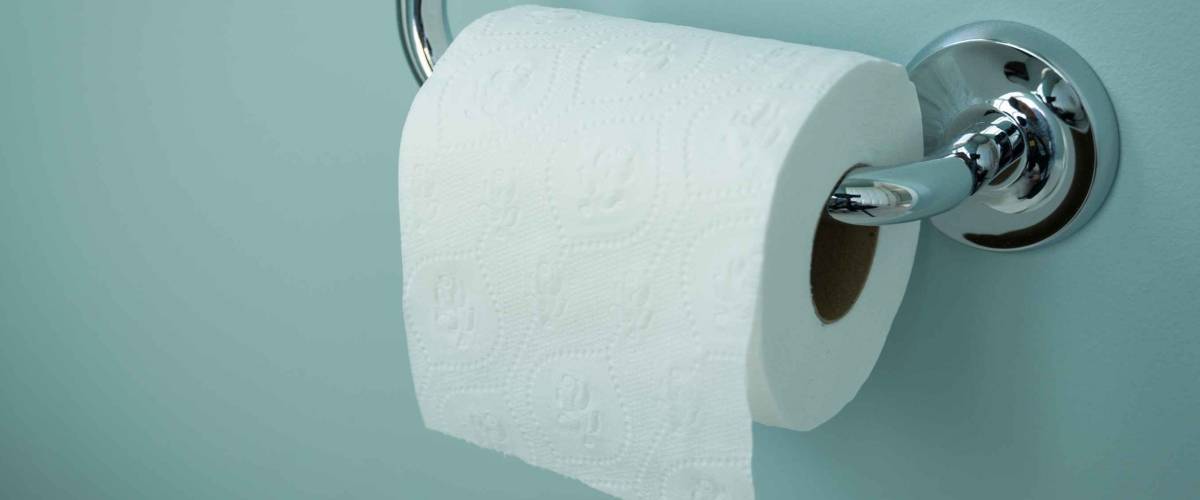 A white roll of soft toilet paper neatly hanging on a modern chrome holder on a light blue bathroom wall.