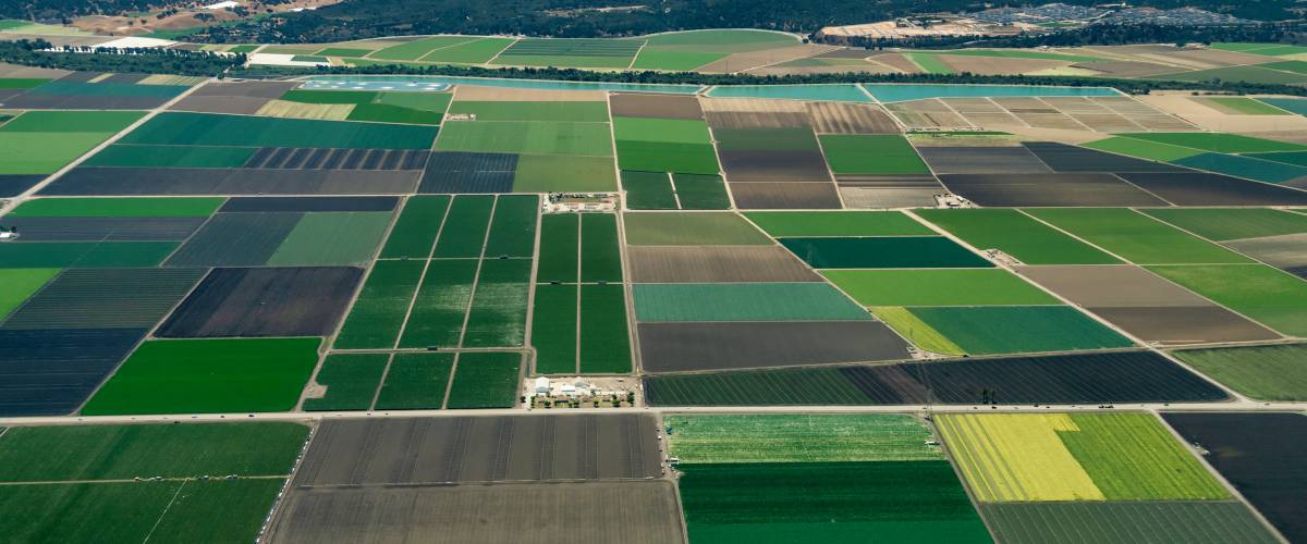 Farmland
