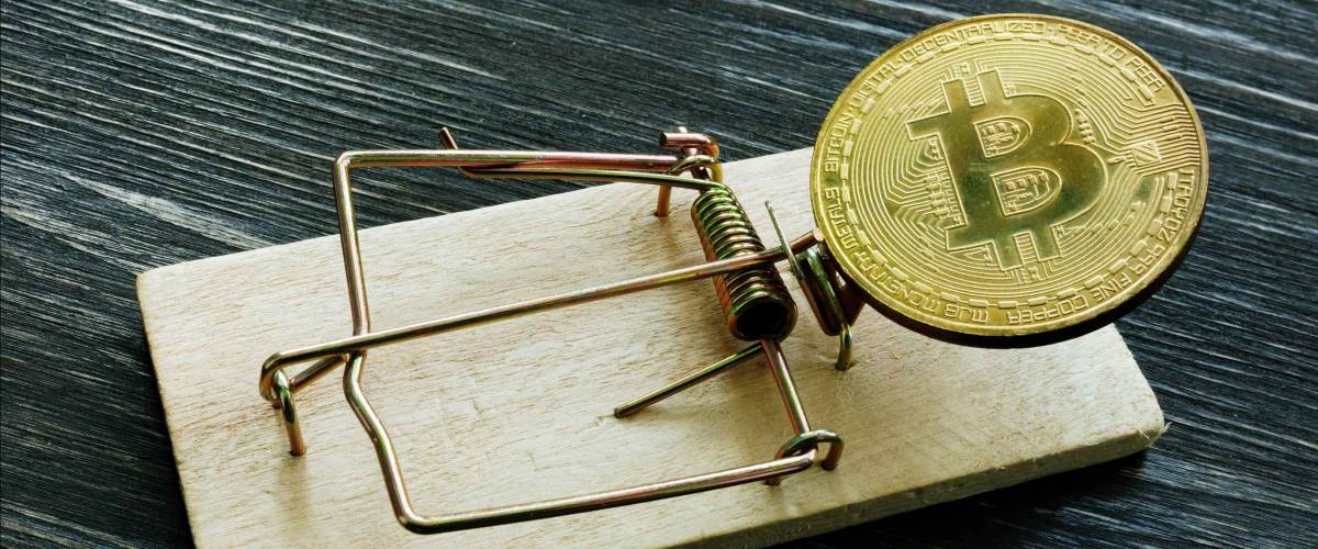 Mousetrap and bitcoin coin. Cryptocurrency scam or fraud concept.