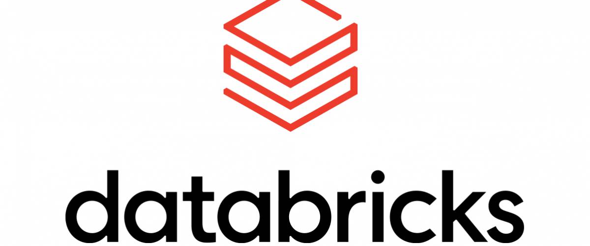Databricks logo.