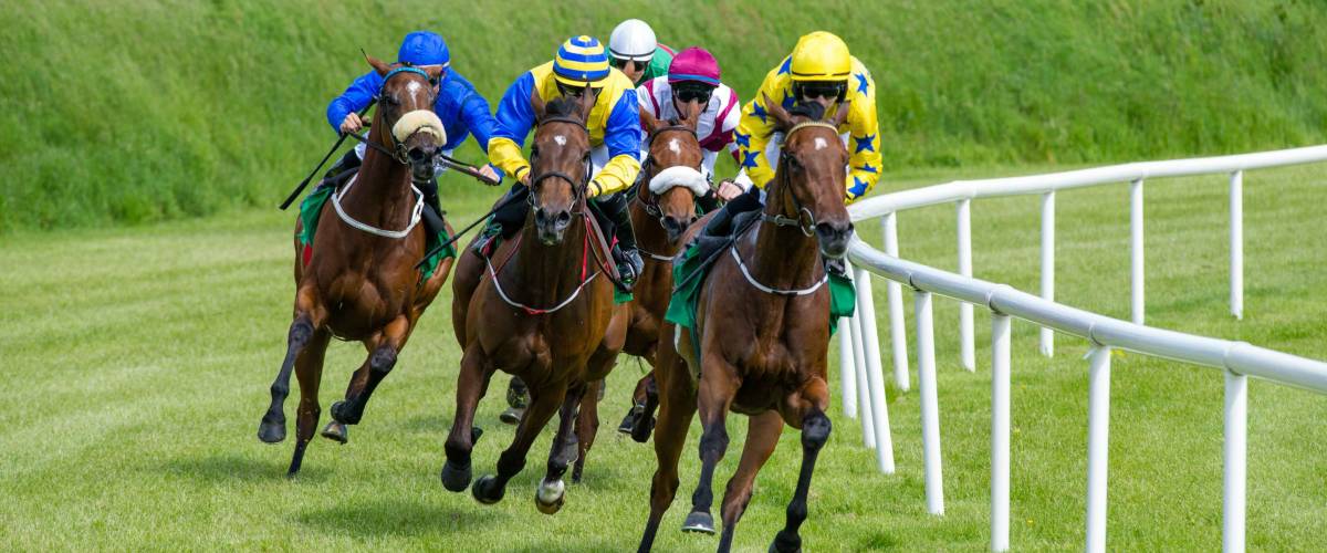 galloping race horses in racing competition