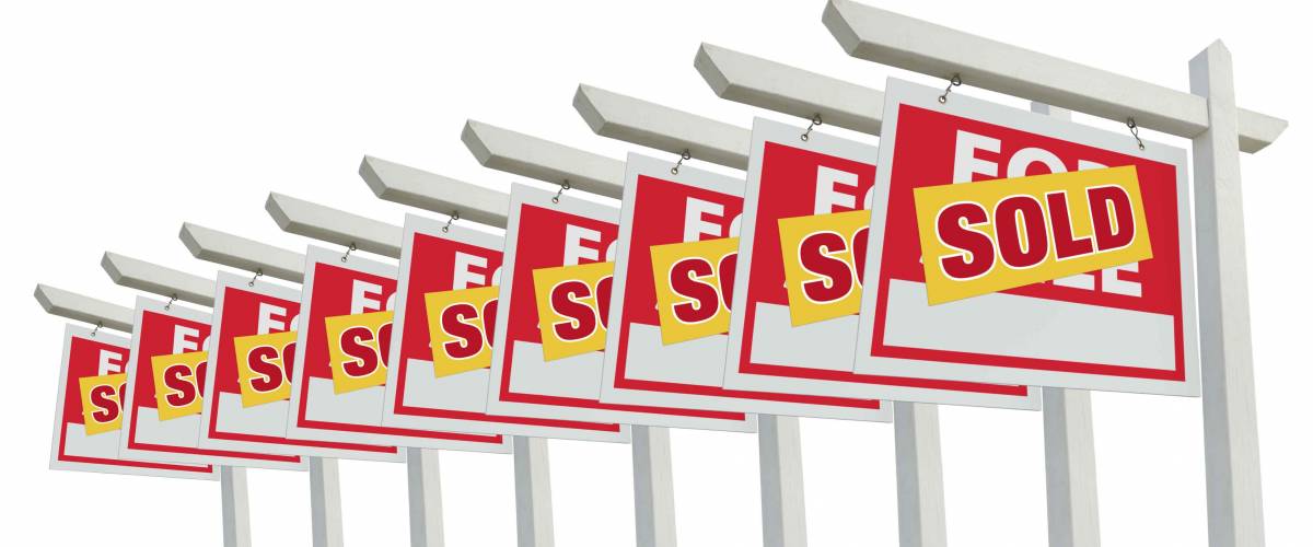 Row of Sold Home For Sale Real Estate Signs Isolated on a White Background.