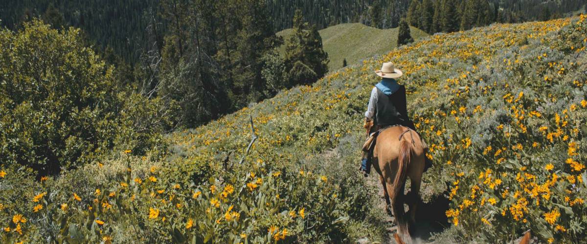 Horseback riding in the Grand Teton Mountain Range